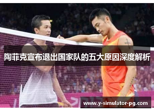 陶菲克宣布退出国家队的五大原因深度解析
