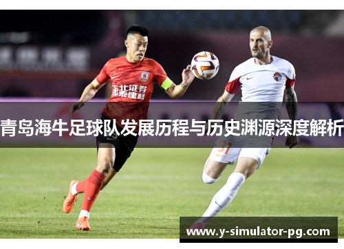 青岛海牛足球队发展历程与历史渊源深度解析